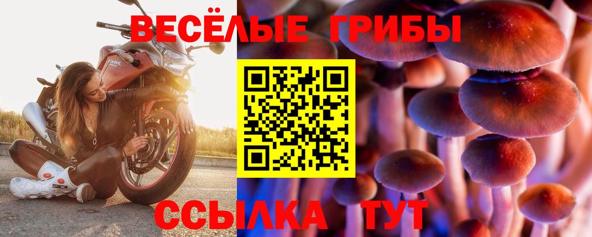 Мурино  Псилоцибиновые грибы Psilocybine cubensis  магазин продажи наркотиков  Вход с VPN 